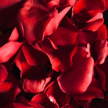 To Let Go Is To Fear Less And Love More